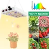 A collage showing a grow light, a spectrum graph, and various plants and fruits. Náhľad obrázku produktu