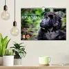 UGANDA - Berggorillas & Chimps (Wandkalender 2027 DIN A4 Produktbild-Vorschau 3