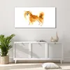 Coloray Acrylbild 120x60  Wandbild Acrylbilder Foto Produktbild-Vorschau 4