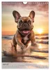 Französische Bulldogge - ein Hund für die Familie Produktbild-Vorschau 9