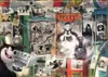 Ravensburger - Puzzle 1000 Disney Villainous Pete - Voir les images du produit 2