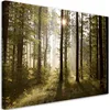 Leinwandbild Morgen im Wald 120x80 Feeby Grün bild für die Produktbild-Vorschau 1