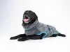 TrendPet Dampfhund Hundebademantel Gr. 08 Produktbild-Vorschau 4