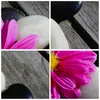 Bild auf Leinwand - Leinwandbild - Stein Blume Produktbild-Vorschau 8