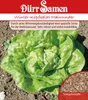 Artikelbild 1 von 'Winterkopfsalat Maiwunder' aus der Kategorie Kopfsalatsamen Produktbild-Vorschau