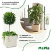MePla - Kübel KARO-40 Holzoptik 80x40x40 anthrazit Produktbild-Vorschau 4