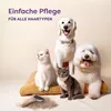 Spazzola bifacciale per cani in bambù - Rimozione efficace Anteprima dell’immagine prodotto 3