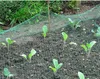 Young plants in a garden bed covered with green netting. Produktbild-Vorschau