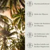 Floravera Premium Palmen Flüssigdünger 1 Liter Palmendünger Produktbild-Vorschau 4