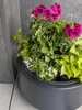 HEOS DLHEN400 runder Blumentopf mit Einsatz | Anthrazit Produktbild-Vorschau 8