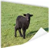 MuchoWow® Poster Schaf - Lamm - Schwarz - Gras 90x60 cm - Produktbild-Vorschau 1