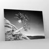 Bilder auf glas - Einteilig - Voll der Mond Baum - 100x70cm Produktbild-Vorschau 4