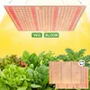 65W 360 LED lampa do roślin pełne spektrum białe światło Podgląd zdjęcia produktu 1