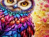 Puzzle 1000 pièces Enjoy – Chouette Néon Voir les images du produit 5