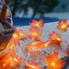 Guirlande lumineuse d'Halloween avec citrouille Feuille Voir les images du produit 5