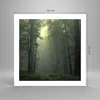 Poster - Poster ohne Rahmen - Wald Nebel Baum - 50x50 cm - Produktbild-Vorschau 4