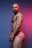 CELLBLOCK 13 - Intimo da Uomo Sospensorio - Tight End 2 Anteprima dell’immagine prodotto 6