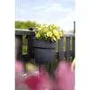 elho® Vibia campana easy Jardinière S anthracite à Voir les images du produit 7