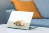 MuchoWow® Laptop Aufkleber Sticker Cover Ein Porträt eines Produktbild-Vorschau 4