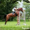 Weidegras Paddock Pferde 15 kg = 1.666 m² Gras für Koppeln Produktbild-Vorschau 8