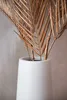 Vaso da terra ISONDRA in fibra di vetro, bianco, 9x9x100 cm Anteprima dell’immagine prodotto 3