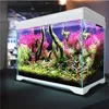 A well-lit, professionally shot image of a modern aquarium filled with vibrant aquatic plants and clear water, set against a blurred background. Podgląd zdjęcia produktu