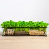 Karton Islandmoos Anthrazit 500g Produktbild-Vorschau 3