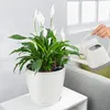 LECHUZA-Pot de plantes CLASSICO Color 18 Blanc | Pot de Voir les images du produit 15
