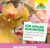 Neudorff OrchideenPflege Spray 250 ml Produktbild-Vorschau 6