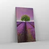 Bild auf Leinwand - Leinwandbild - Wiese lavenda Sommer Produktbild-Vorschau 4