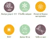 Green boutiQ - Staude - Gaura lindh. Whirling Butterflies - Produktbild-Vorschau 8