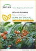 SAFLAX  - Arbre à tomates - 50 graines - Cyphomandra Voir les images du produit 1