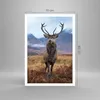 Poster - Poster ohne Rahmen - Hirsch Hirsch Schottland - Produktbild-Vorschau 4