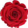Infinity Rose XL Ø6-7cm konserviert stabilisiert haltbar Produktbild-Vorschau 1