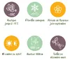GreenboutiQ - Rosier grimpant - Rosa Orange Climber - Fleur Voir les images du produit 8