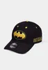 Batman Curved Bill Cap Core Logo Produktbild-Vorschau 7