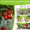Tomatenspiralen aus Stahl Ø 5,6 mm Tomatenspiralstäbe Ranke Produktbild-Vorschau 6