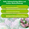 Purgrün Rispenhortensie-Dünger 1 Liter, Produktbild-Vorschau 3