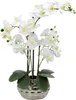 Kunst-Pflanze Orchidee ovaler Topf silber hochglanz und Produktbild-Vorschau 3