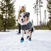 Ruffwear Hundejacke Cloud Chaser™ Soft Shell Jacket Aurora Produktbild-Vorschau 14