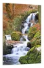 Wallario Wandbild Bach im Wald, Größe: 61 x 91,5 cm, Poster Produktbild-Vorschau 2