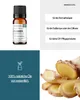 Ingwer  (10ml) - naturreines, ätherisches Öl von wesentlich Produktbild-Vorschau 2