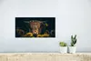 MuchoWow® Poster Schottische Highlander - Blumen - Kuh - Produktbild-Vorschau 5