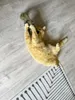 Aumüller Katzenspielzeug Frettchen grau mit Füllung 42 x 10 Produktbild-Vorschau 4