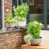 SIENA GARDEN květináč OSLO šedý 47 cm Náhled obrázku produktu 8