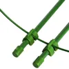 Podpora pierścieniowa do roślin kwiatów 60 cm stelaż Podgląd zdjęcia produktu 10
