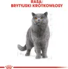 A drawing of a British Shorthair cat with text above it. Produktbild-Vorschau