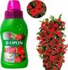Nawóz do dipladenii sundaville BIOPON 300ML Podgląd zdjęcia produktu 4