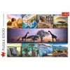 TREFL Puzzle Pie, Afrika 1000 Teile Produktbild-Vorschau 3