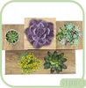 Metall Blumenständer für Blumen, Pflanzen, Töpfe, Produktbild-Vorschau 7